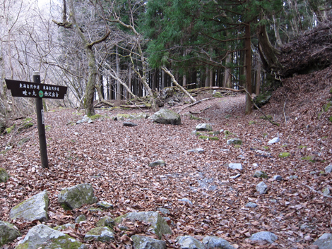 20200110hike (453)